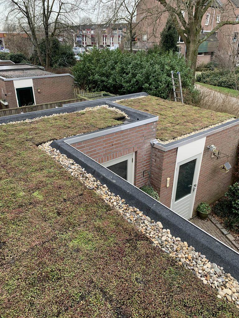 B&M Dak-Totaal — sedum sedumdak groendak etten leur