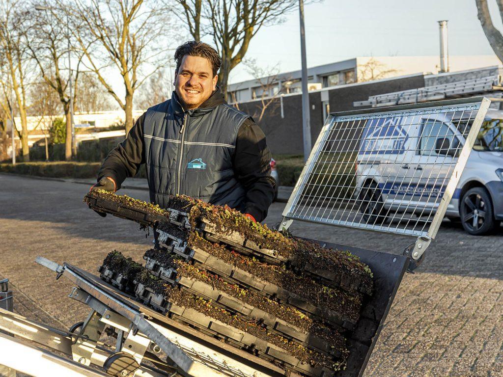 B&M Dak-Totaal — sedum sedumdak groendak etten leur